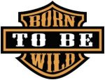 Born to be wild  kis felvarró  (hímzett) (RENDELÉSRE)