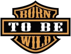 Born to be wild  kis felvarró  (hímzett)
